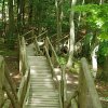 Tour 9: NP-Jasmund